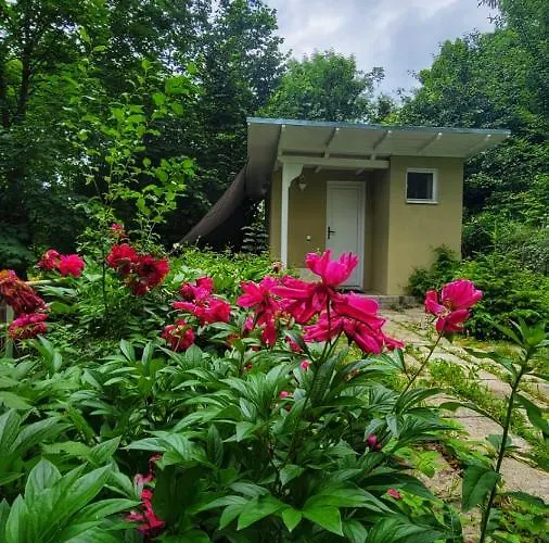 The Tiny House For 2 Braşov